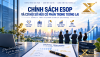 Chính sách ESOP và cơ hội sở hữu cổ phần trong tương lai | VSX.ASIA