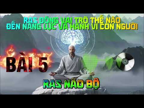 BÀI 5: RAS não bộ đóng vai trò thế nào đến năng lực và hành vi con người | Vinathis network
